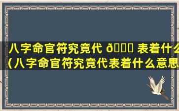 八字命官符究竟代 🐅 表着什么（八字命官符究竟代表着什么意思）